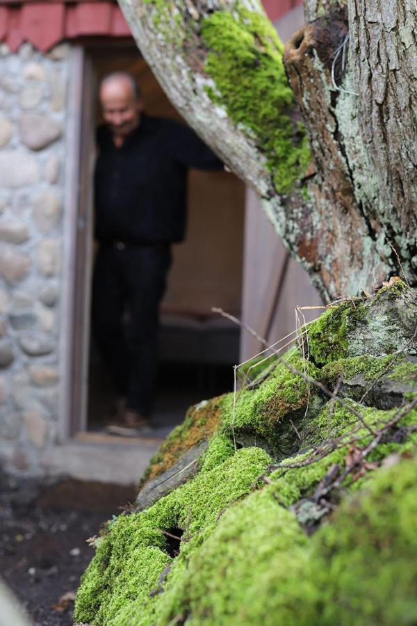 Noesundsgarden Hotell & Vandrarhem Bagian luar foto